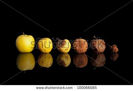 stock-photo-phases-of-the-rotting-yellow